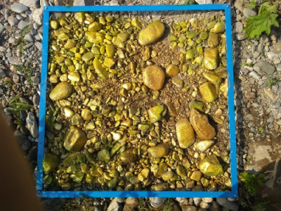 glimpse_of_fieldwork_blog1