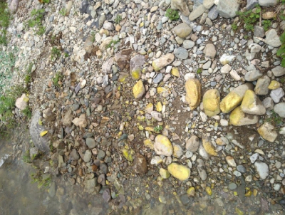 glimpse_of_fieldwork_blog2
