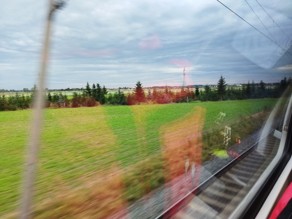 my_first_travel_figure4